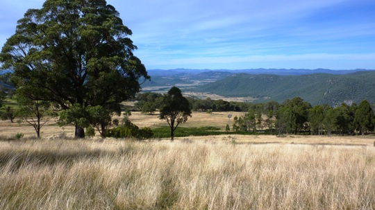 View down to Moore Creek valley from near New England Gully road